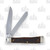 Case XX Father and Son Antique Bone Trapper Folding Knife CA58182FS