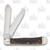 Case XX World's Greatest Son Antique Bone Trapper Folding Knife CA58182WGS