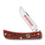 Case Marine Corps Dark Red Jigged Bone Sod Buster Jr