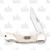 Frost Steel Warrior White Smooth Bone Small Lockback FRSW361WSB