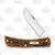 Case Amber Bone Carbon Steel Sod Buster Jr Folding Knife
