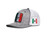 Ariat Men's Heather Gray Mexico Flag Logo Cap