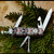 Victorinox Tinker Swiss Army Knife Big Bear Totem SMKW Special Deisgn