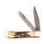 Bear & Son Mini Trapper Folding Knife 2.75in Plain Edge India Stag