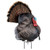 Primos Photoform Strutter Tom Turkey Decoy | Realistic - Lightweight