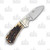 Rough Ryder Tuff Stag Cub Lockback Folding Knife