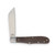 Rough Ryder Reserve Humpback Jack Folding Knife RRR024