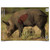Birchwood Casey PreGame Boar Target 3 Pack