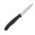 Victorinox 2-Piece Santoku & Paring Knife Set V670012