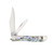 Case Smooth Abalone Peanut Pocket Knife CA12025