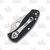 Spyderco Ambitious Folding Knife G10 Black 2.31in Satin Plain Blade