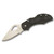 Spyderco Byrd Robin 2 Folding Knife 2.4 Inch Plain Satin Clip Point Open