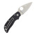 Spyderco Cat Folding Knife Black G10 2.5in Satin Plain Edge Blade SPC129GP