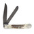 Case Vintage Jigged Bone PVD Coated Trapper Folding Knife