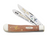 Case XX Take 'Em Duck Hunting Chestnut Smooth Bone Trapper Folding Knife CACNDUCK