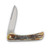 Rough Ryder Classic Cinnamon Bone Stag Work Knife RR2432