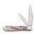 Case Slant Bolster Coral Sea Corelon Peanut Folding Knife