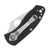 Spyderco Ambitious Lightweight Linerlock Folding Knife (Serrated)