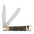 Queen Cutlery American-Made Folding Knife Genuine Stag Trapper