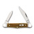 Case XX Smooth Antique Bone Half Whittler Folding Knife CA58189