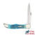 Case SMKW Exclusive Sea Dragon Bone Folding Hunter