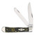 Case XX Yellow Smooth Bone with Engraved Roses Trapper Folding Knife CA12523R