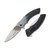 Dark Side Blades Raven Nevermore Assisted Folding Knife