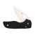 Spyderco Lil Native Folding Knife Plain Edge G-10 Black