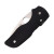 Spyderco Lil Native Folding Knife Plain Edge G-10 Black