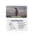 Lovins Customs Cards