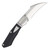 Begg Knives Small Folding Knife 2.38in Plain Satin Hawkbill