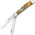 Case Abalone Corelon Mini Trapper Folding Knife CA9207AB