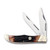 Rough Ryder Brown Stag Bone Folding Hunter