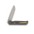 Medford T-Bone Bronze and Safari 4in Plain Tumbled Tanto Bronze Hardware Back Open 2