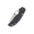 Spyderco Sage 6 Button Release Compression Lock 3in Plain Satin Leaf SPC123CFBCLP