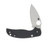 Spyderco Sage 6 Button Release Compression Lock 3in Plain Satin Leaf SPC123CFBCLP
