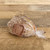 Harold Import Mrs. Anderson's Baking Bread Saver HA10151