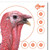 Allen EZ Aim Paper Four Color Patterning - 12x12 Turkey - 6 Pack