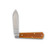Cooper Cutlery Dollar Knife Co. 1 Blade Jack Osage Orange Smooth Bone CCDKCOOB