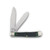 Battle Axe Brand Trapper Green Jigged Bone CC5BA5219GJB