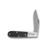 Cooper Cutlery Schatt & Morgan Barlow Buffalo Horn CCSM69BH
