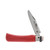 Antonini Knives Old Bear OBY Juniors Red Folding Knife 2.76in Clip Point 9357/17_MRK