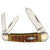 Rough Rider Amber Jigged Bone Sleeveboard Whitter Folding Knife RR375