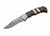 The Ebony Tide Folding Knife Buffalo Horn/MOP Handle Damascus Blade DM1421