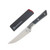 Microtech 4.5in Steak Knife 4 Pc Set Stonewash Standard Blades Black G-10 Handles MT3600B10SETBK