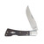 Finch Flying Goddess Alley Cat 2.75in Plain Satin Modified Clip Point 3