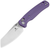Bestechman Cicadas Wing Folding Knife Satin Reverse Tanto/Purple G-10 BMK06M