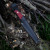 GiantMouse GMF2-P-R Fixed Blade PVD Finish- Red G10 Handle Black Leather Sheath