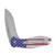 Kershaw Blur AO Folder USA Flag AL Custom CCI Coating Trac-Tec Insert Handle 14C28N Blade KS1670USA