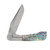 Finch Gooseneck Abalone Folding Knife Satin Stonewashed 14C28N Blade GN600
